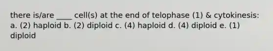 there is/are ____ cell(s) at the end of telophase (1) & cytokinesis: a. (2) haploid b. (2) diploid c. (4) haploid d. (4) diploid e. (1) diploid