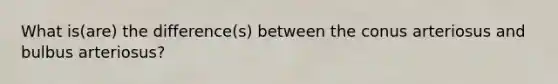 What is(are) the difference(s) between the conus arteriosus and bulbus arteriosus?