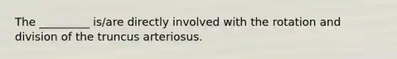 The _________ is/are directly involved with the rotation and division of the truncus arteriosus.