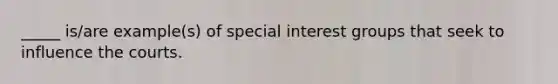 _____ is/are example(s) of special interest groups that seek to influence the courts.