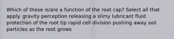 Which of these is/are a function of the root cap? Select all that apply. gravity perception releasing a slimy lubricant fluid protection of the root tip rapid cell division pushing away soil particles as the root grows