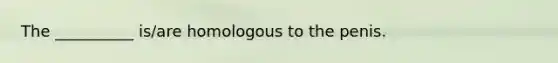 The __________ is/are homologous to the penis.