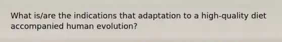 What is/are the indications that adaptation to a high-quality diet accompanied human evolution?