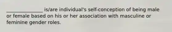 _______________ is/are individual's self-conception of being male or female based on his or her association with masculine or feminine gender roles.