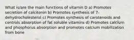 What is/are the main functions of vitamin D a) Promotes secretion of calcitonin b) Promotes synthesis of 7-dehydrocholesterol c) Promotes synthesis of carotenoids and controls absorption of fat soluble vitamins d) Promotes calcium and phosphorus absorption and promotes calcium mobilization from bone