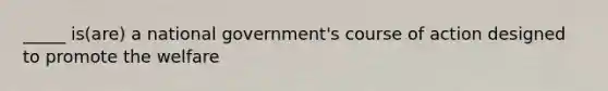 _____ is(are) a national government's course of action designed to promote the welfare