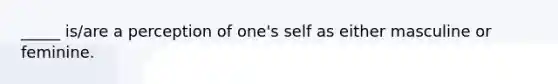 _____ is/are a perception of one's self as either masculine or feminine.