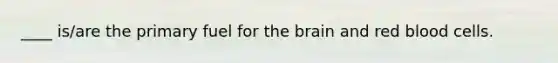 ____ is/are the primary fuel for the brain and red blood cells.