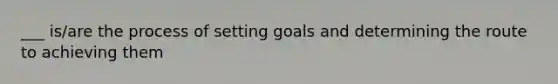 ___ is/are the process of setting goals and determining the route to achieving them