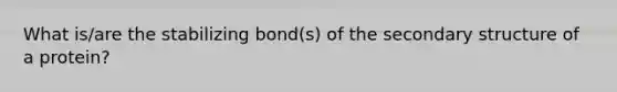 What is/are the stabilizing bond(s) of the secondary structure of a protein?