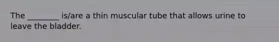 The​ ________ is/are a thin muscular tube that allows urine to leave the bladder.