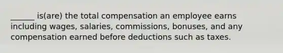 ______ is(are) the total compensation an employee earns including wages, salaries, commissions, bonuses, and any compensation earned before deductions such as taxes.