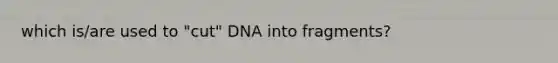 which is/are used to "cut" DNA into fragments?