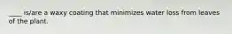 ____ is/are a waxy coating that minimizes water loss from leaves of the plant.