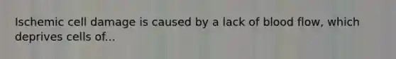 Ischemic cell damage is caused by a lack of blood flow, which deprives cells of...