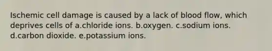 Ischemic cell damage is caused by a lack of blood flow, which deprives cells of a.chloride ions. b.oxygen. c.sodium ions. d.carbon dioxide. e.potassium ions.