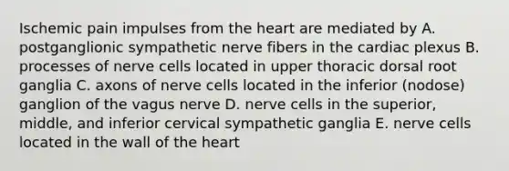 Ischemic pain impulses from the heart are mediated by A. postganglionic sympathetic nerve fibers in the cardiac plexus B. processes of nerve cells located in upper thoracic dorsal root ganglia C. axons of nerve cells located in the inferior (nodose) ganglion of the vagus nerve D. nerve cells in the superior, middle, and inferior cervical sympathetic ganglia E. nerve cells located in the wall of the heart