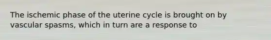 The ischemic phase of the uterine cycle is brought on by vascular spasms, which in turn are a response to