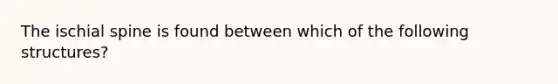 The ischial spine is found between which of the following structures?