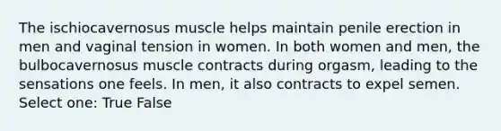 The ischiocavernosus muscle helps maintain penile erection in men and vaginal tension in women. In both women and men, the bulbocavernosus muscle contracts during orgasm, leading to the sensations one feels. In men, it also contracts to expel semen. Select one: True False