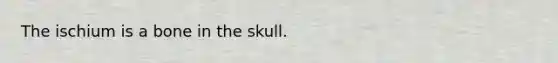 The ischium is a bone in the skull.