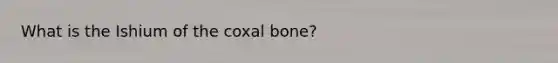 What is the Ishium of the coxal bone?