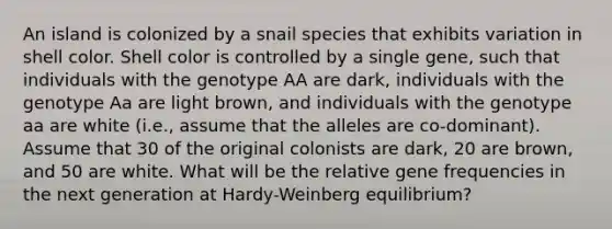 An island is colonized by a snail species that exhibits variation in shell color. Shell color is controlled by a single gene, such that individuals with the genotype AA are dark, individuals with the genotype Aa are light brown, and individuals with the genotype aa are white (i.e., assume that the alleles are co-dominant). Assume that 30 of the original colonists are dark, 20 are brown, and 50 are white. What will be the relative gene frequencies in the next generation at Hardy-Weinberg equilibrium?