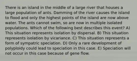 There is an island in the middle of a large river that houses a large population of ants. Damming of the river causes the island to flood and only the highest points of the island are now above water. The ants cannot swim, so are now in multiple isolated populations. Which of the following best describes this event? A) This situation represents isolation by dispersal. B) This situation represents isolation by vicariance. C) This situation represents a form of sympatric speciation. D) Only a rare development of polyploidy could lead to speciation in this case. E) Speciation will not occur in this case because of gene flow.