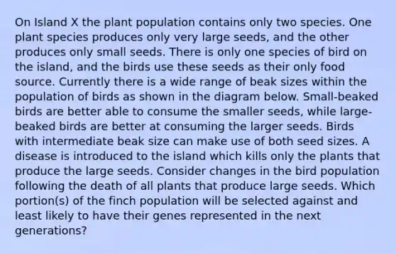 On Island X the plant population contains only two species. One plant species produces only very large seeds, and the other produces only small seeds. There is only one species of bird on the island, and the birds use these seeds as their only food source. Currently there is a wide range of beak sizes within the population of birds as shown in the diagram below. Small-beaked birds are better able to consume the smaller seeds, while large-beaked birds are better at consuming the larger seeds. Birds with intermediate beak size can make use of both seed sizes. A disease is introduced to the island which kills only the plants that produce the large seeds. Consider changes in the bird population following the death of all plants that produce large seeds. Which portion(s) of the finch population will be selected against and least likely to have their genes represented in the next generations?