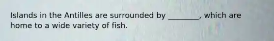Islands in the Antilles are surrounded by ________, which are home to a wide variety of fish.