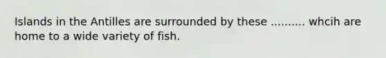 Islands in the Antilles are surrounded by these .......... whcih are home to a wide variety of fish.