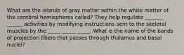 What are the islands of gray matter within the white matter of the cerebral hemispheres called? They help regulate _______ ______ activities by modifying instructions sent to the skeletal muscles by the _____ _____ _____. What is the name of the bands of projection fibers that passes through thalamus and basal nuclei?