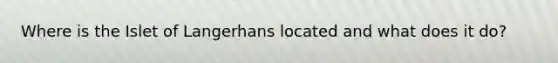 Where is the Islet of Langerhans located and what does it do?