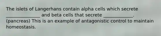 The islets of Langerhans contain alpha cells which secrete _______________ and beta cells that secrete _____________. (pancreas) This is an example of antagonistic control to maintain homeostasis.