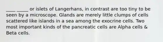 ____ _____ or islets of Langerhans, in contrast are too tiny to be seen by a microscope. Glands are merely little clumps of cells scattered like islands in a sea among the exocrine cells. Two most important kinds of the pancreatic cells are Alpha cells & Beta cells.