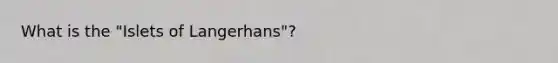 What is the "Islets of Langerhans"?