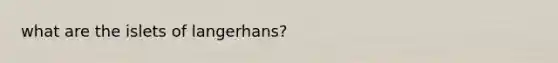 what are the islets of langerhans?