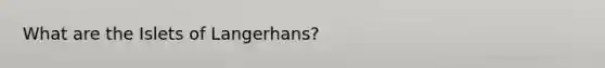 What are the Islets of Langerhans?