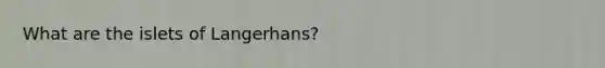 What are the islets of Langerhans?