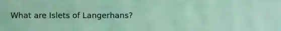 What are Islets of Langerhans?