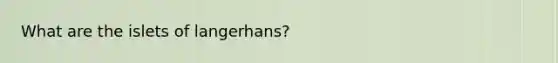 What are the islets of langerhans?