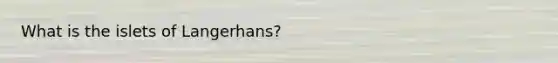 What is the islets of Langerhans?