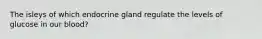 The isleys of which endocrine gland regulate the levels of glucose in our blood?