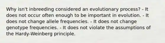 Why isn't inbreeding considered an evolutionary process? - It does not occur often enough to be important in evolution. - It does not change allele frequencies. - It does not change genotype frequencies. - It does not violate the assumptions of the Hardy-Weinberg principle.