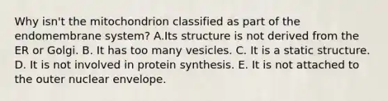 Why isn't the mitochondrion classified as part of the endomembrane system? A.Its structure is not derived from the ER or Golgi. B. It has too many vesicles. C. It is a static structure. D. It is not involved in protein synthesis. E. It is not attached to the outer nuclear envelope.