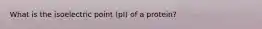 What is the isoelectric point (pI) of a protein?