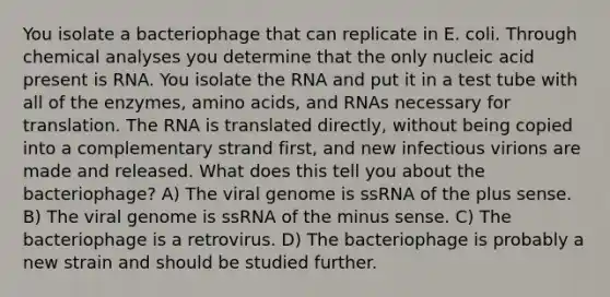 You isolate a bacteriophage that can replicate in E. coli. Through chemical analyses you determine that the only nucleic acid present is RNA. You isolate the RNA and put it in a test tube with all of the enzymes, amino acids, and RNAs necessary for translation. The RNA is translated directly, without being copied into a complementary strand first, and new infectious virions are made and released. What does this tell you about the bacteriophage? A) The viral genome is ssRNA of the plus sense. B) The viral genome is ssRNA of the minus sense. C) The bacteriophage is a retrovirus. D) The bacteriophage is probably a new strain and should be studied further.