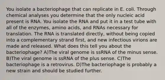 You isolate a bacteriophage that can replicate in E. coli. Through chemical analyses you determine that the only nucleic acid present is RNA. You isolate the RNA and put it in a test tube with all of the enzymes, <a href='https://www.questionai.com/knowledge/k9gb720LCl-amino-acids' class='anchor-knowledge'>amino acids</a>, and RNAs necessary for translation. The RNA is translated directly, without being copied into a complementary strand first, and new infectious virions are made and released. What does this tell you about the bacteriophage? A)The viral genome is ssRNA of the minus sense. B)The viral genome is ssRNA of the plus sense. C)The bacteriophage is a retrovirus. D)The bacteriophage is probably a new strain and should be studied further.