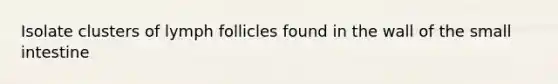 Isolate clusters of lymph follicles found in the wall of the small intestine