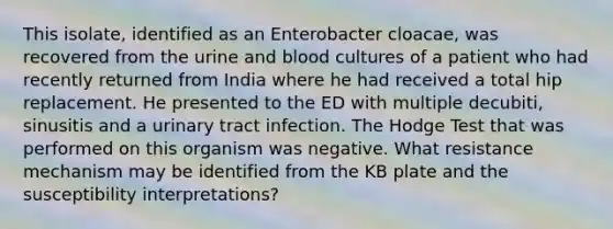 This isolate, identified as an Enterobacter cloacae, was recovered from the urine and blood cultures of a patient who had recently returned from India where he had received a total hip replacement. He presented to the ED with multiple decubiti, sinusitis and a urinary tract infection. The Hodge Test that was performed on this organism was negative. What resistance mechanism may be identified from the KB plate and the susceptibility interpretations?